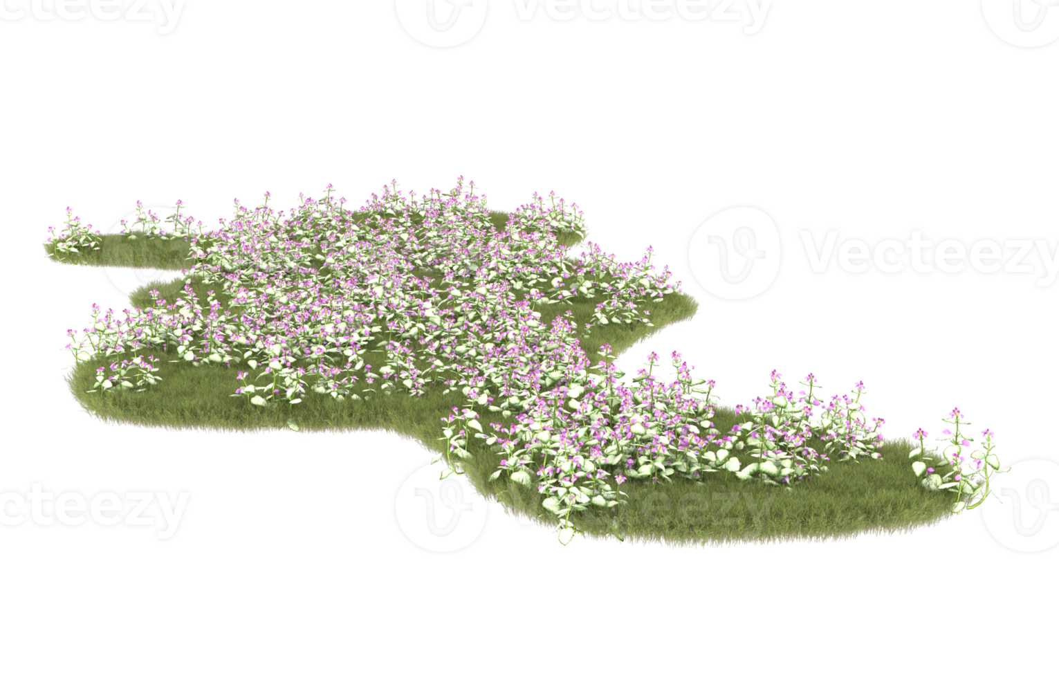 Realistic foliage isolated on transparent background. 3d rendering - illustration png