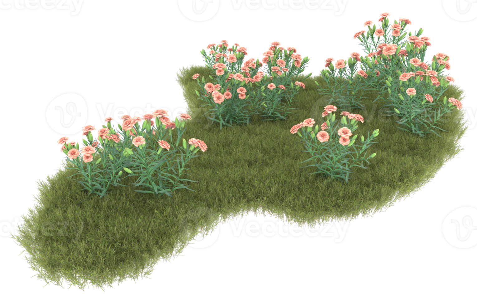 Realistic foliage isolated on transparent background. 3d rendering - illustration png