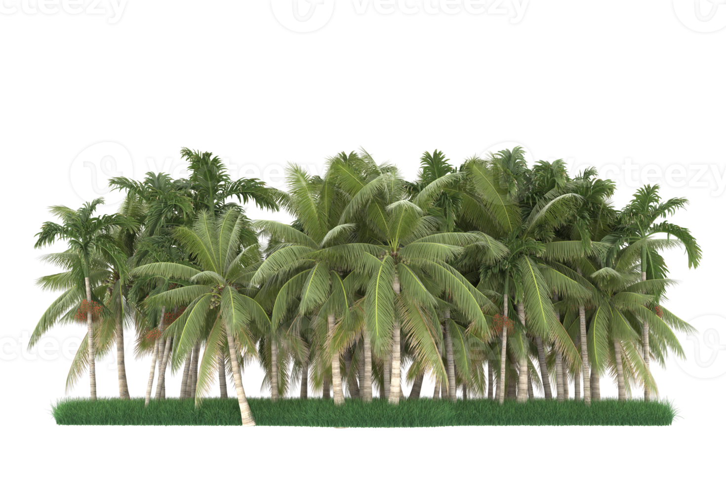 Palm trees isolated on transparent background. 3d rendering - illustration png