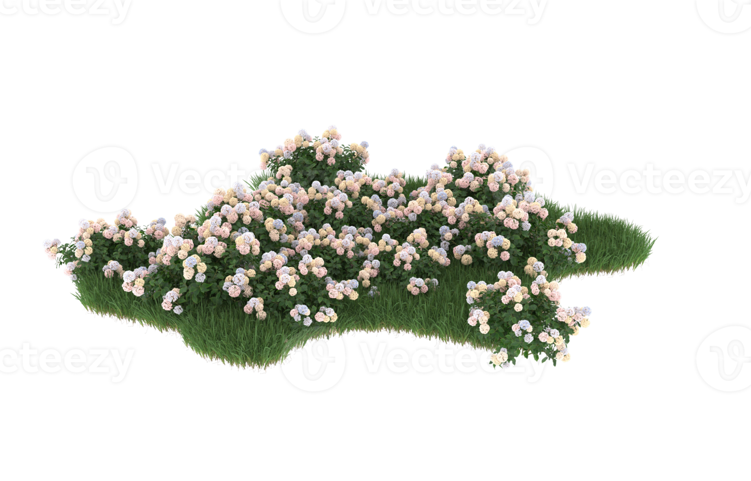 Realistic foliage isolated on transparent background. 3d rendering - illustration png
