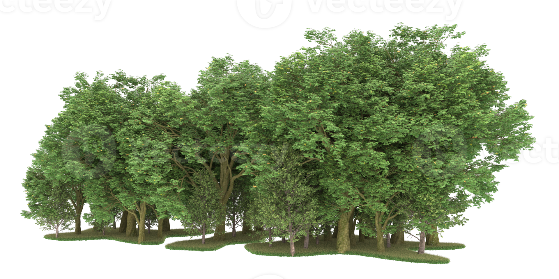 Realistic forest isolated on transparent background. 3d rendering - illustration png