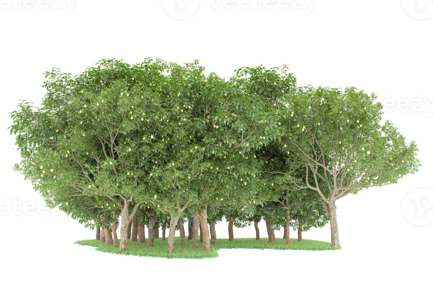 Realistic forest isolated on transparent background. 3d rendering - illustration png
