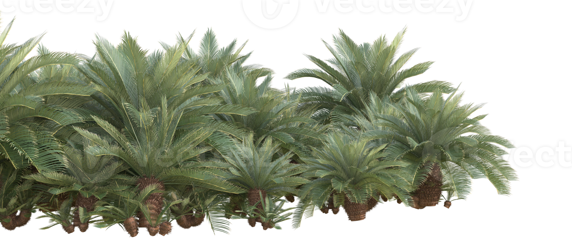 Realistic foliage isolated on transparent background. 3d rendering - illustration png