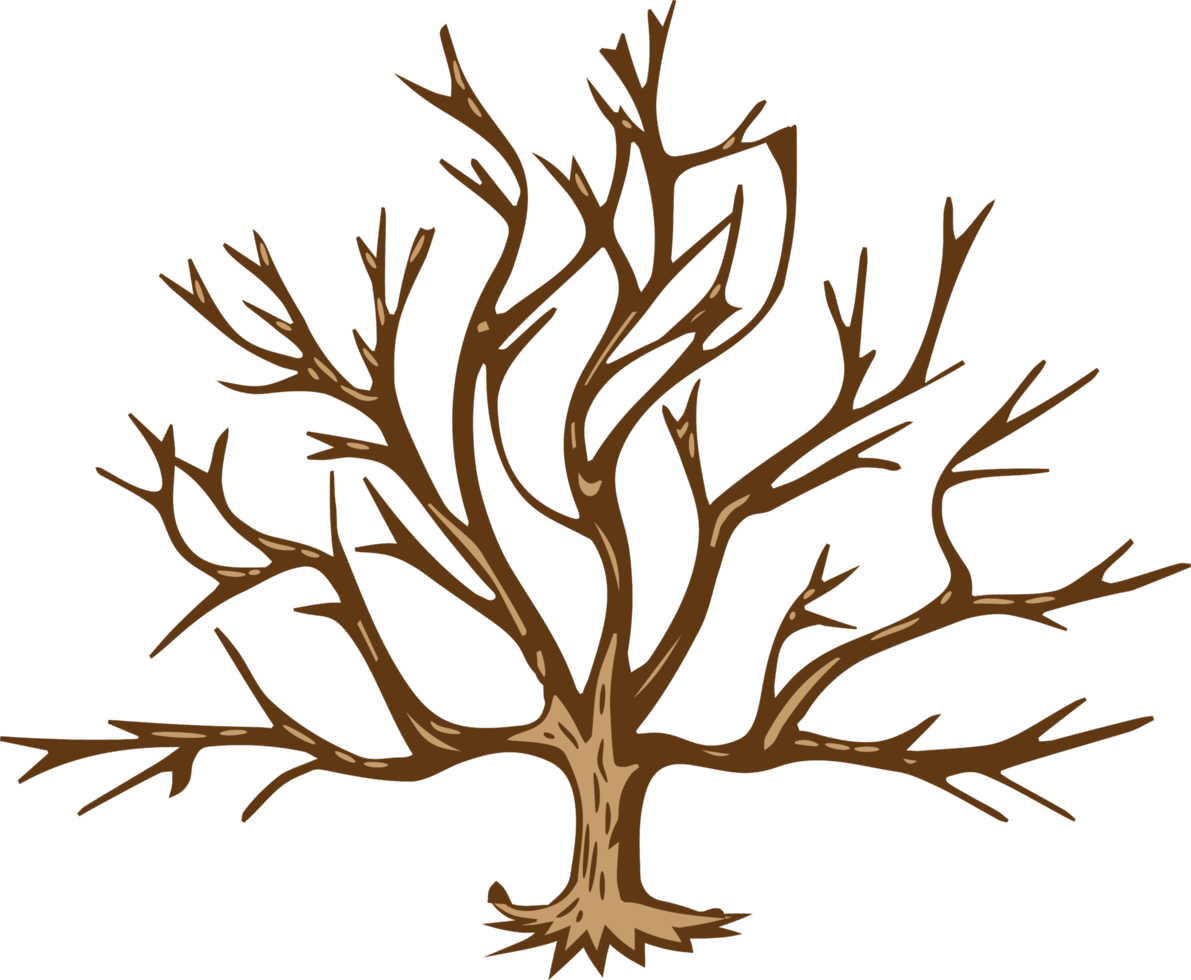 Tree png graphic clipart design