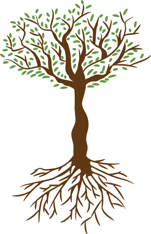 Tree png graphic clipart design