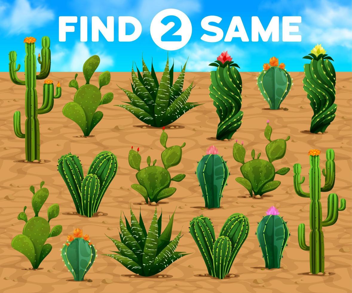 encuentra dos suculentas de cactus espinoso mexicanos iguales vector