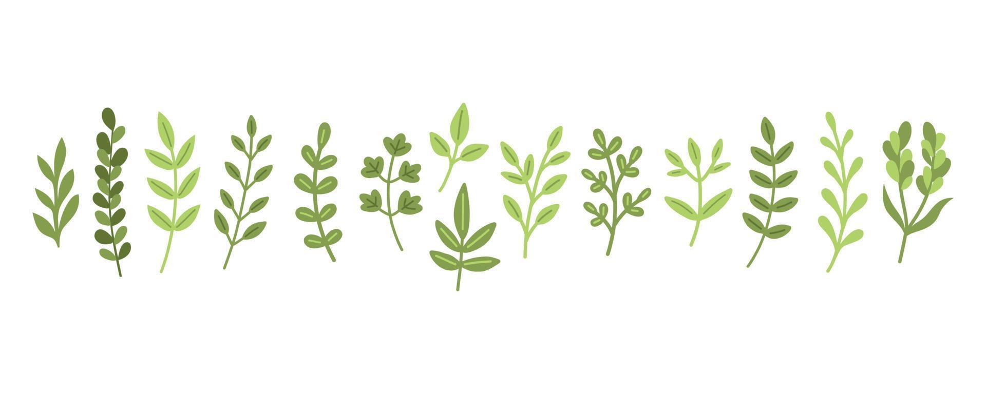 Garden floral plants set. Simple doodle flower plants isolated on white background. Colorful flat vector illustration