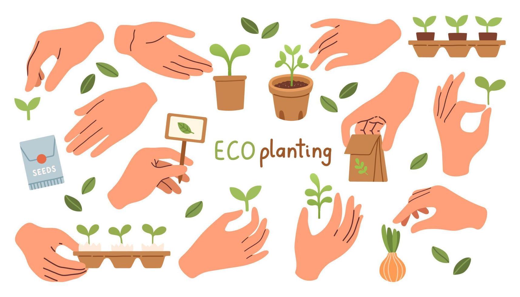 plantación ecológica. planta y brote creciendo en manos vector de diseño plano. ilustración vectorial