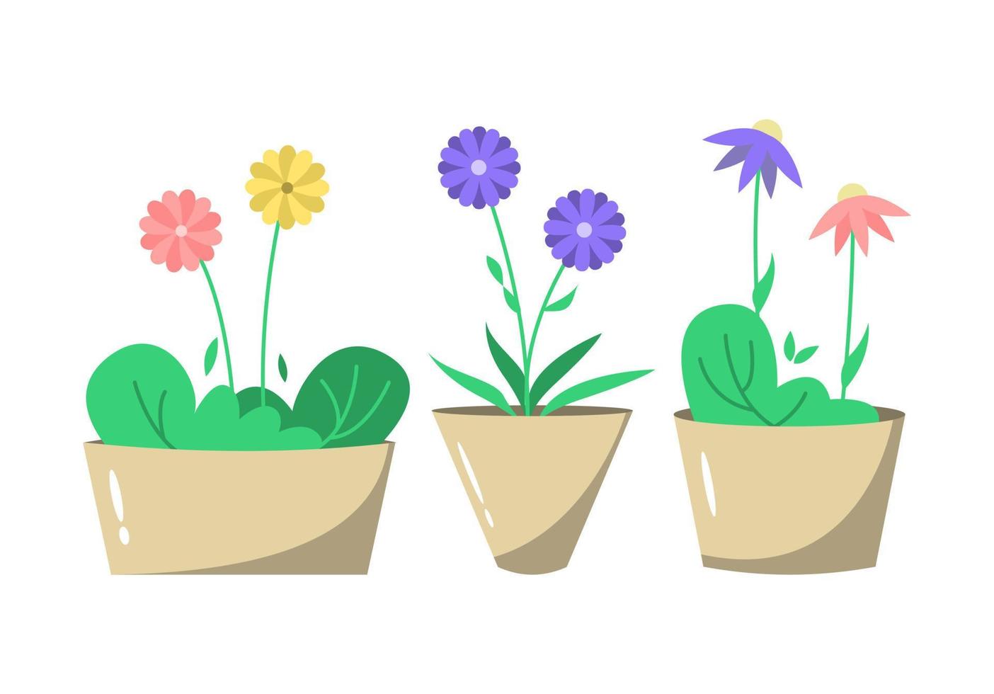 conjunto de lindas flores planas en maceta, ilustración de decoración del hogar vector