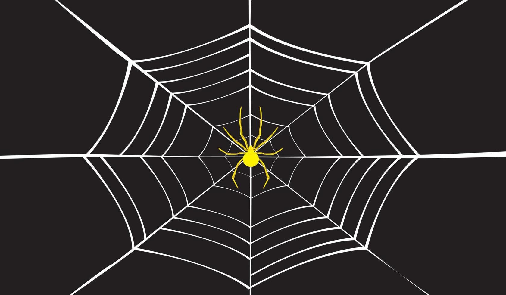 Spider web vector on black background