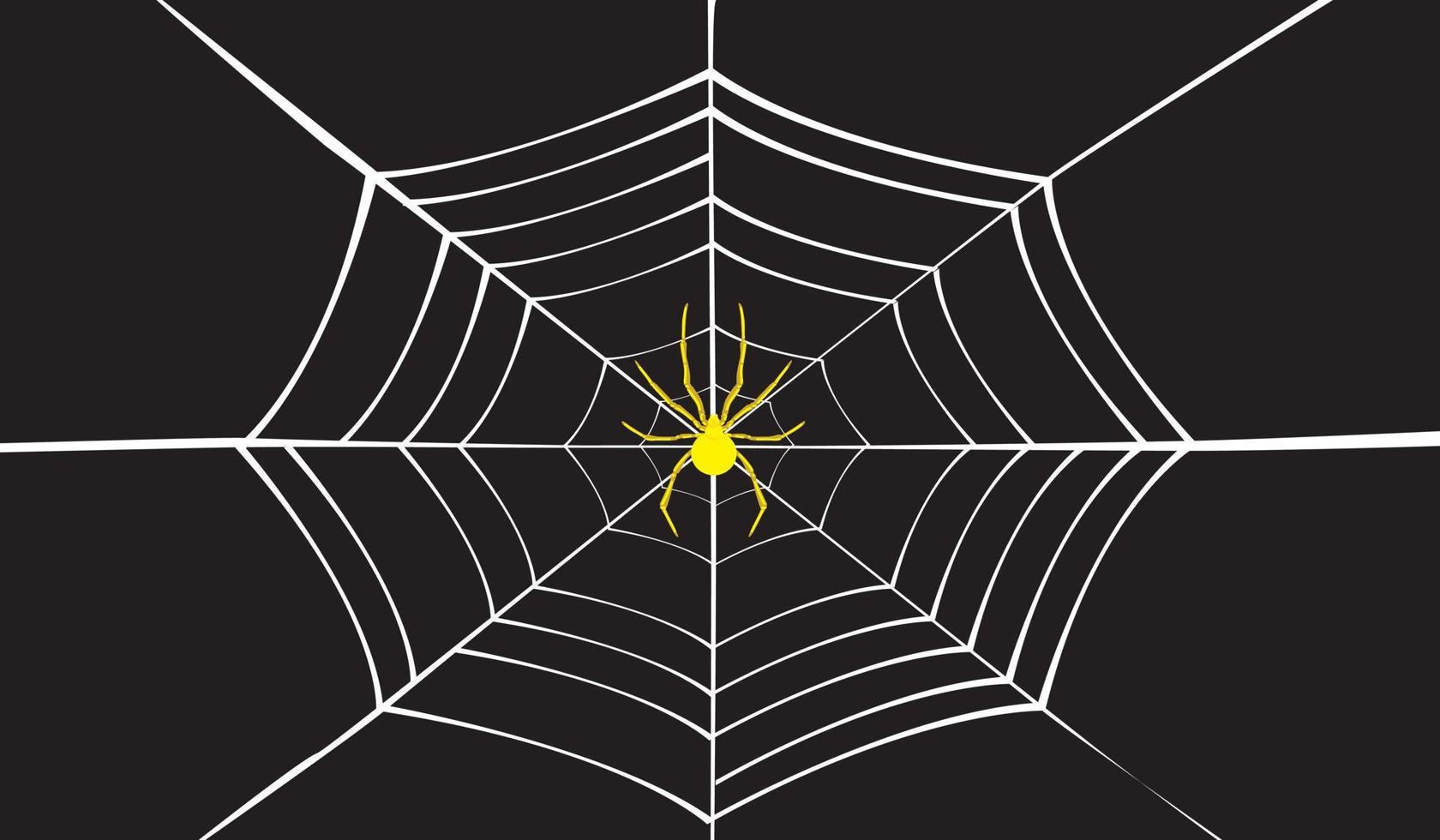 vector de telaraña sobre fondo negro