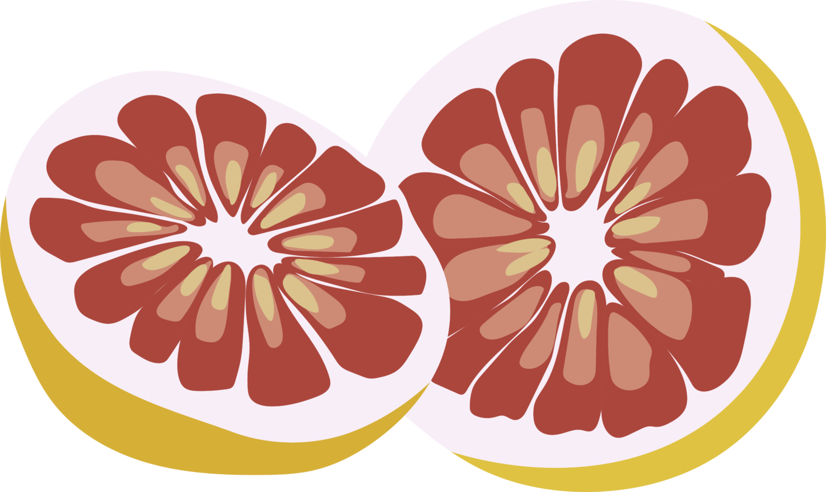 pomelo png grafico clipart design