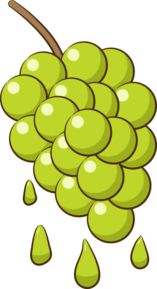 Grape png graphic clipart design