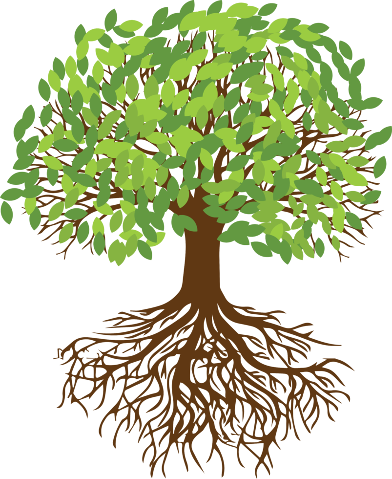 Tree png graphic clipart design