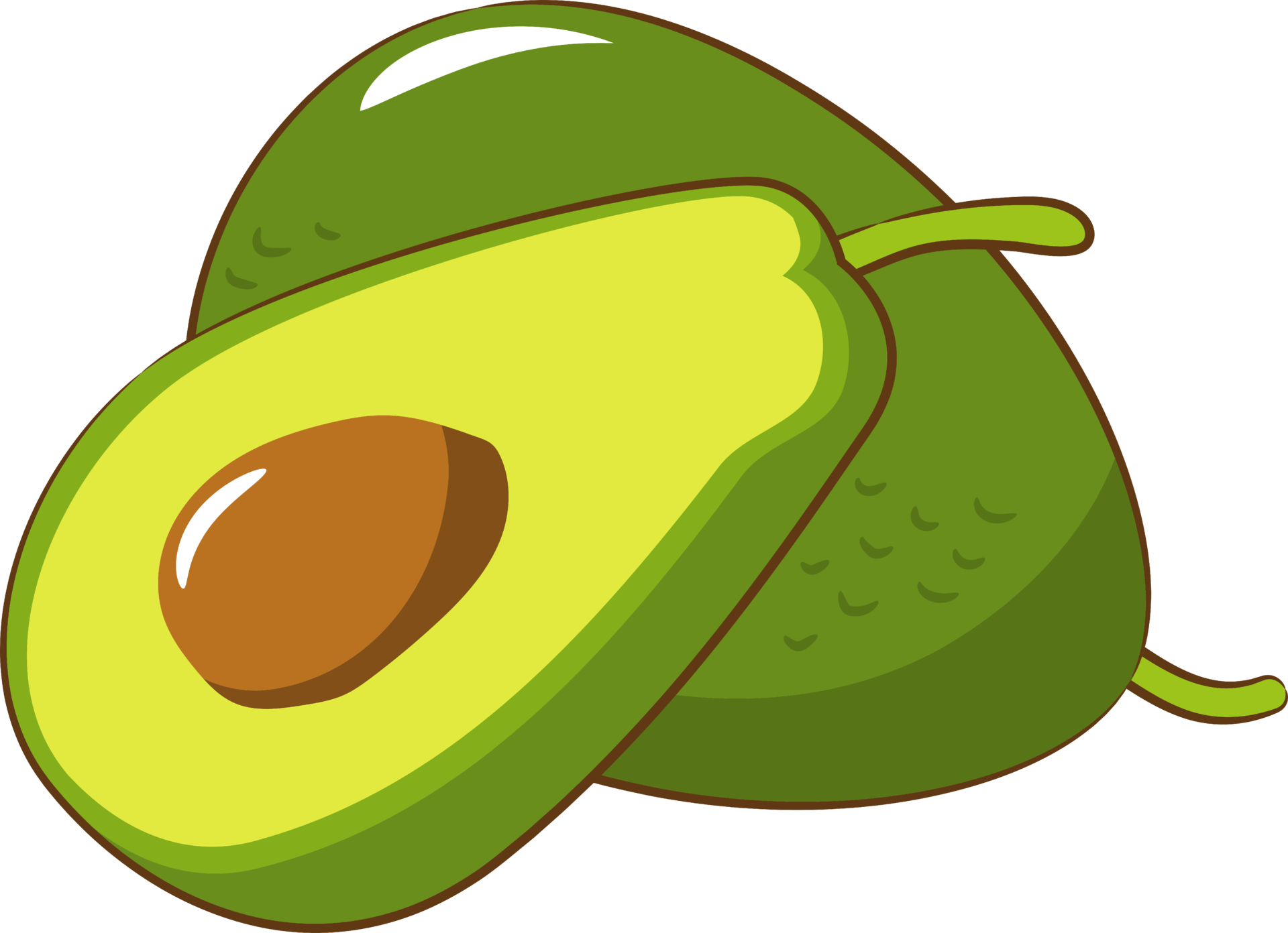 Avocado png graphic clipart design 19607055 PNG