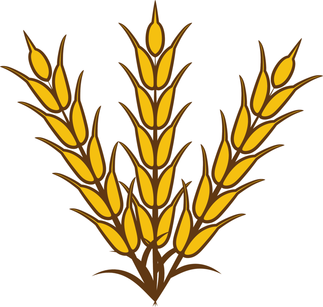 Wheat png graphic clipart design