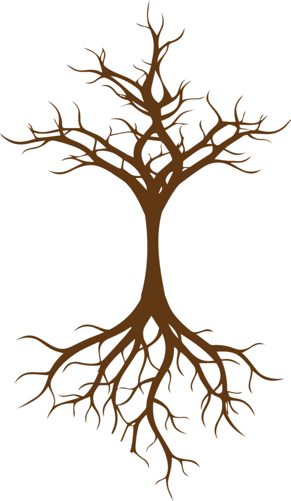 Tree png graphic clipart design