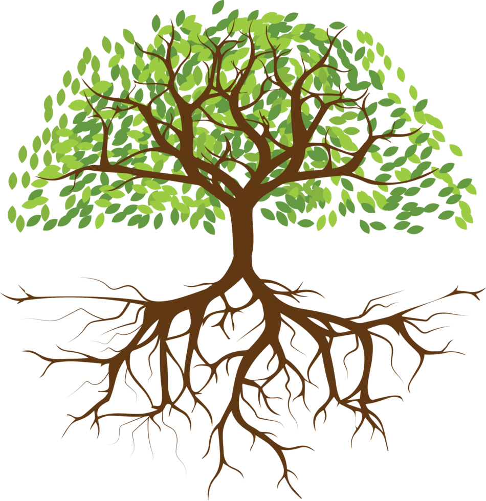 Tree png graphic clipart design