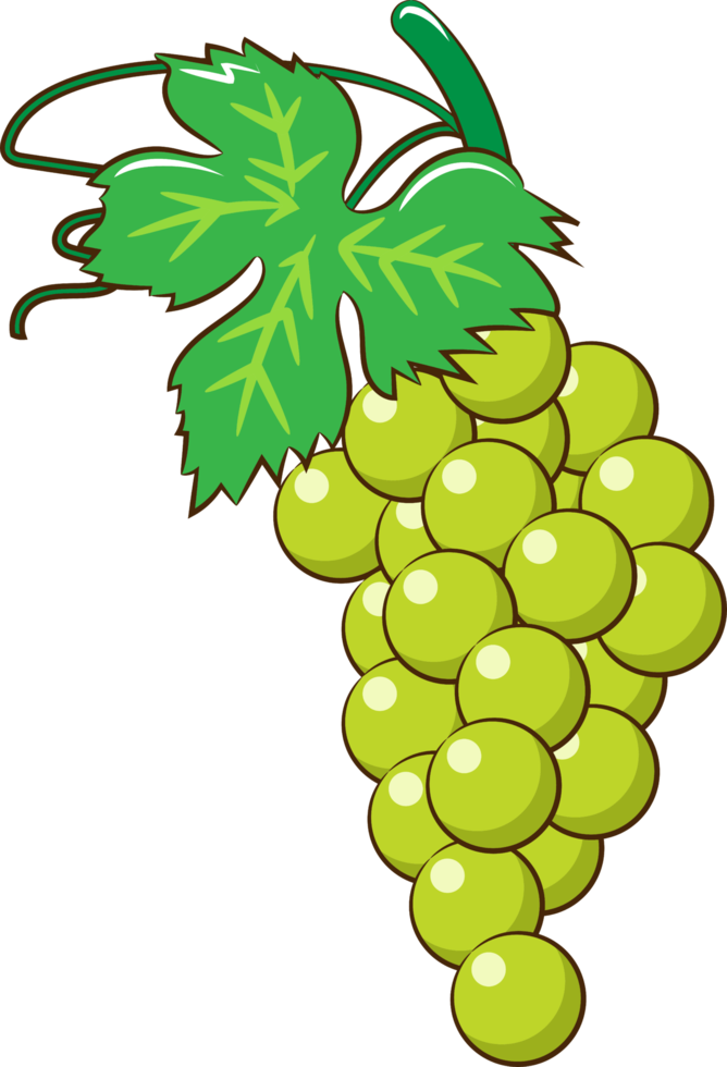 Grape png graphic clipart design