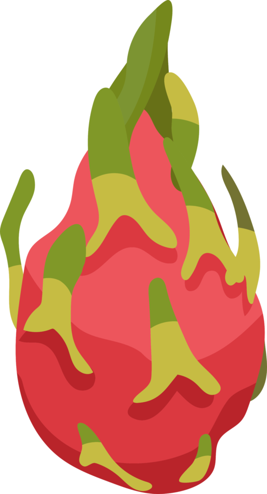 Dragon fruit png graphic clipart design