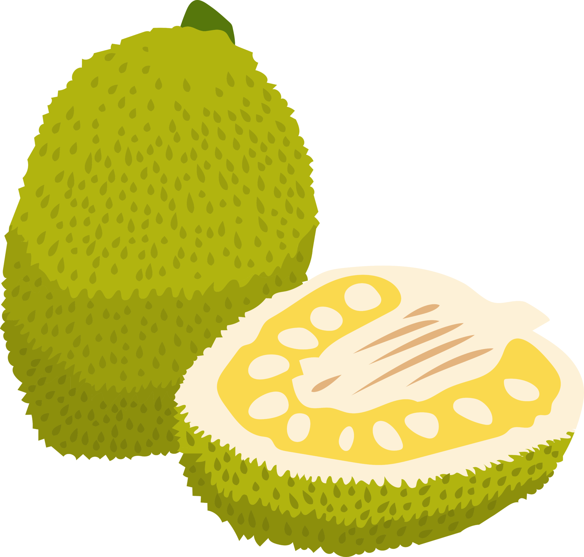 Jackfrucht-PNG-Grafik-Clipart-Design 19607596 PNG