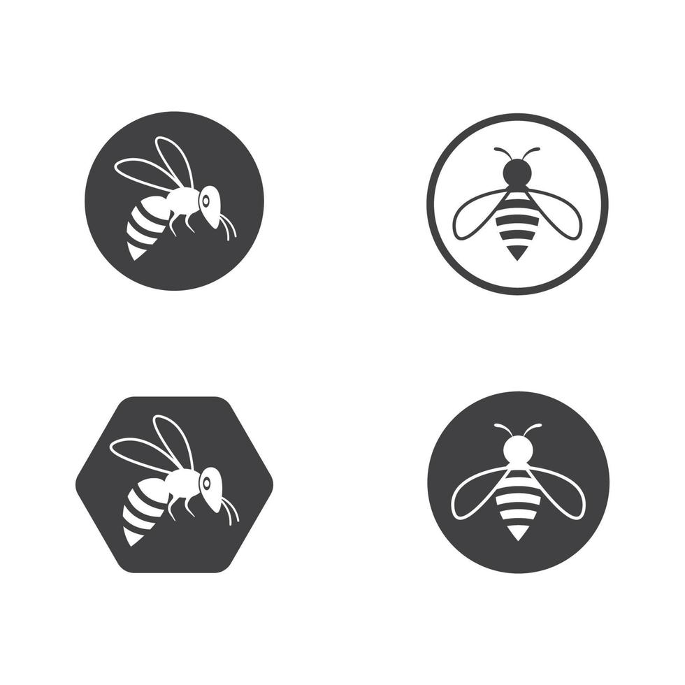 honey Bee Logo Template vector icon illustration