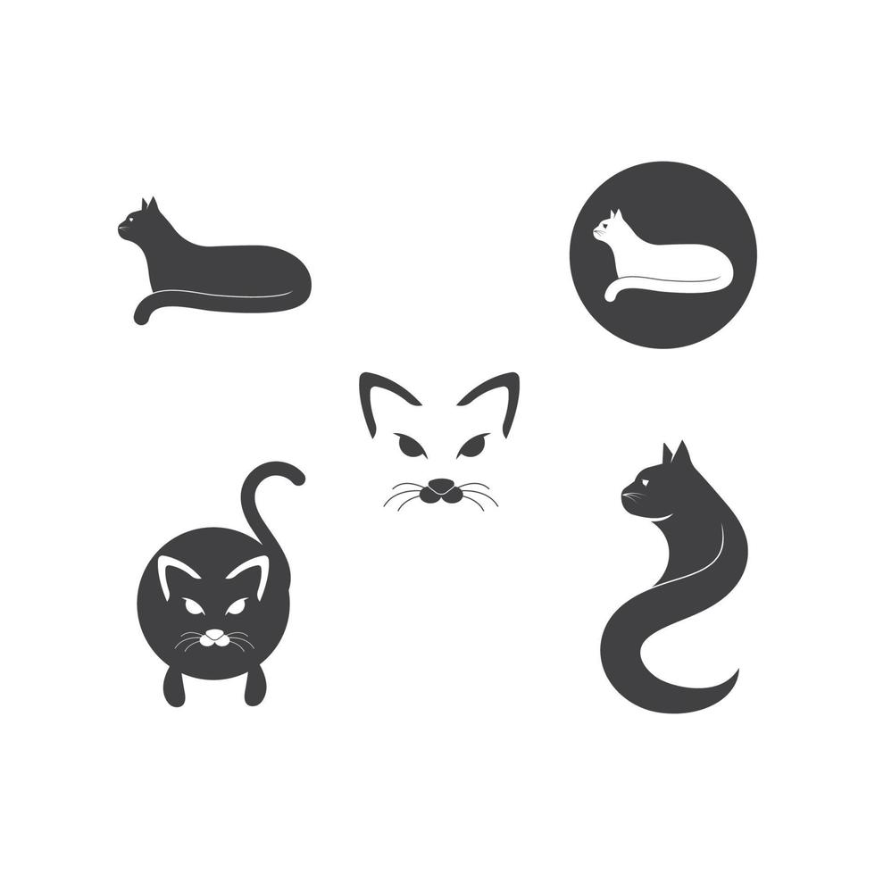 animal cat vector  illustration design