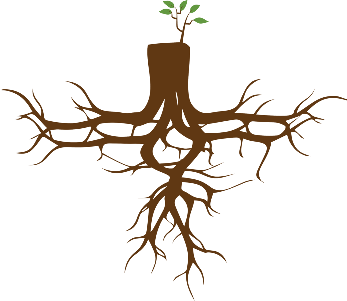 árbol png gráfico clipart diseño