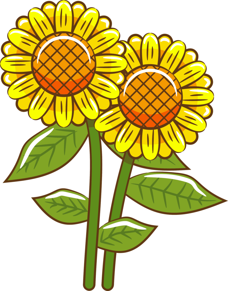 Sonnenblumen-PNG-Grafik-Clipart-Design png