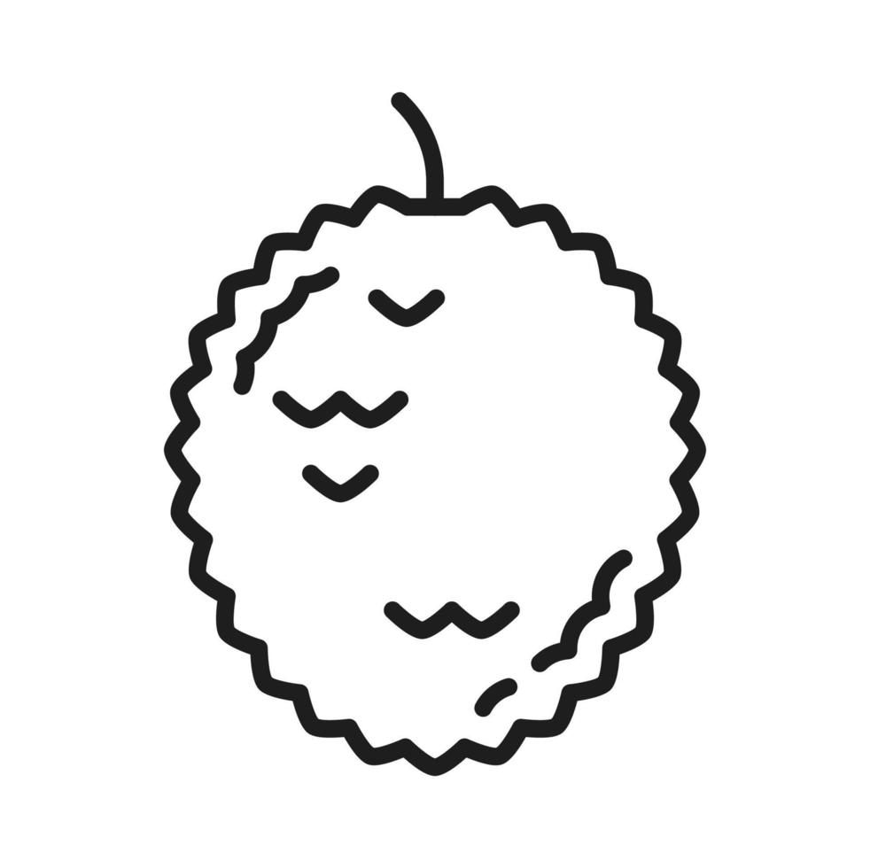 Yuzu agrios crudo Fruta línea icono vector