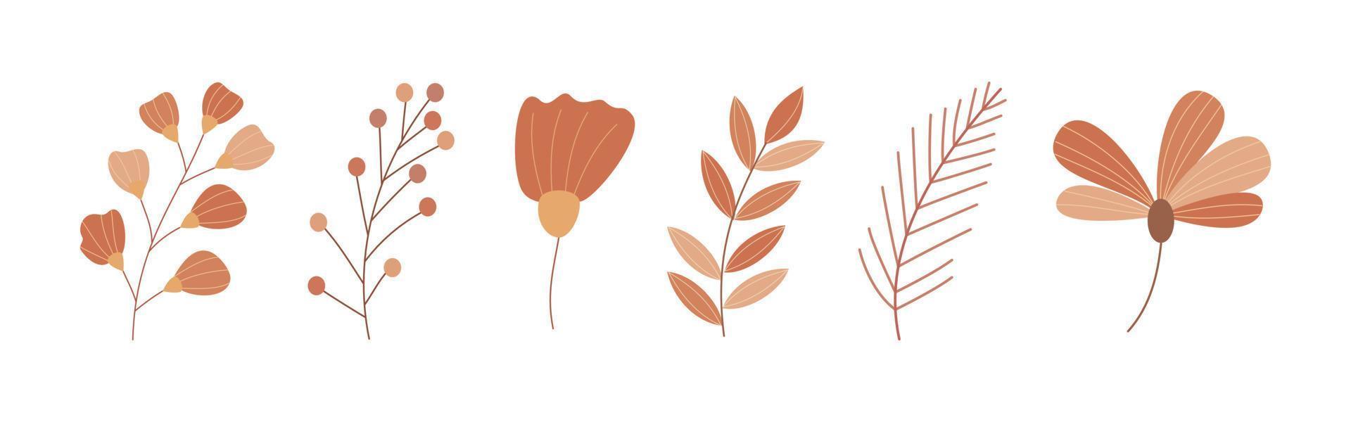 Set of spring flower hand drawn illustration vector