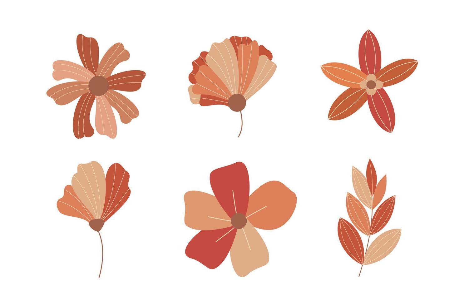 Autumn flower and leaves element collection vector