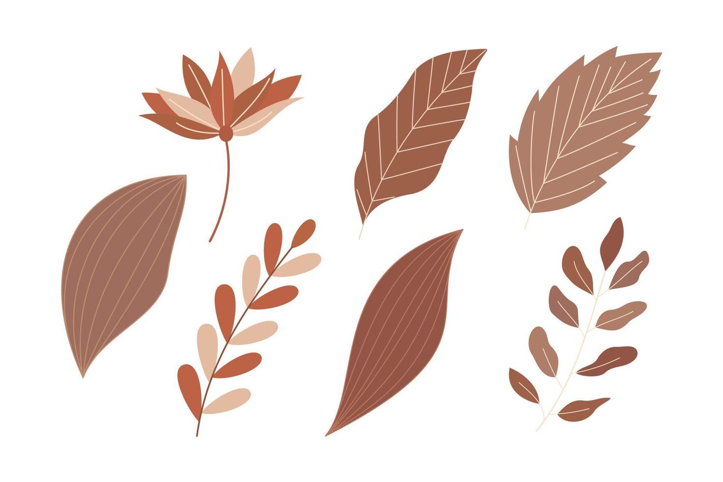 set of autumn floral and leaf for design element vector