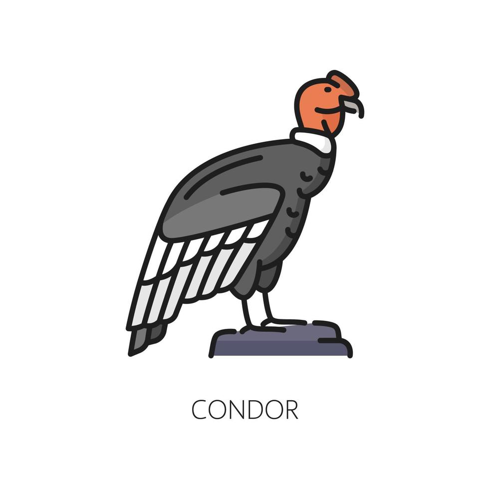 Condor eagle bird isolated symbol of Argentina vector