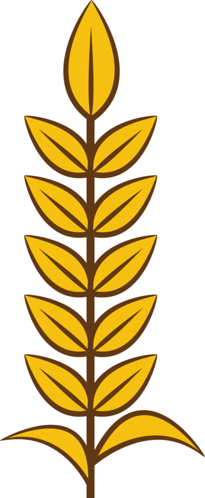 Wheat png graphic clipart design