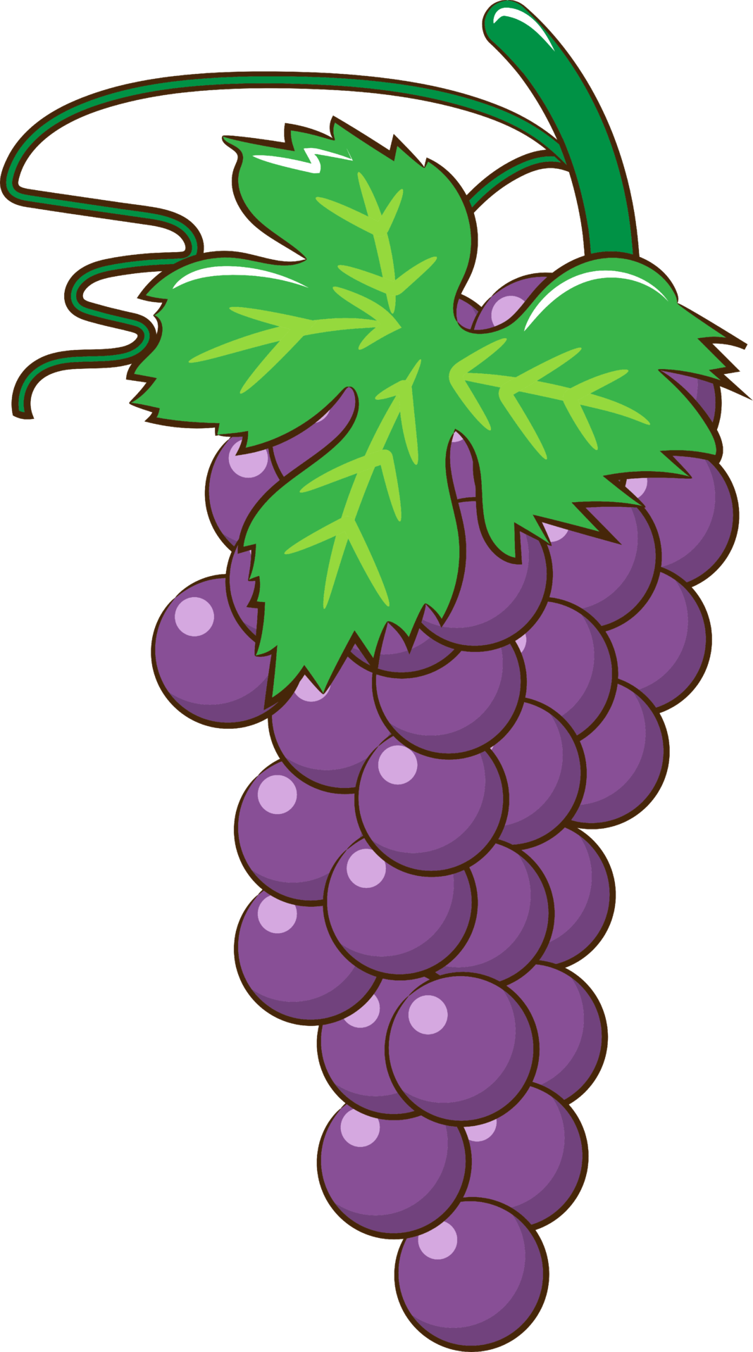 Grape png graphic clipart design 19613612 PNG