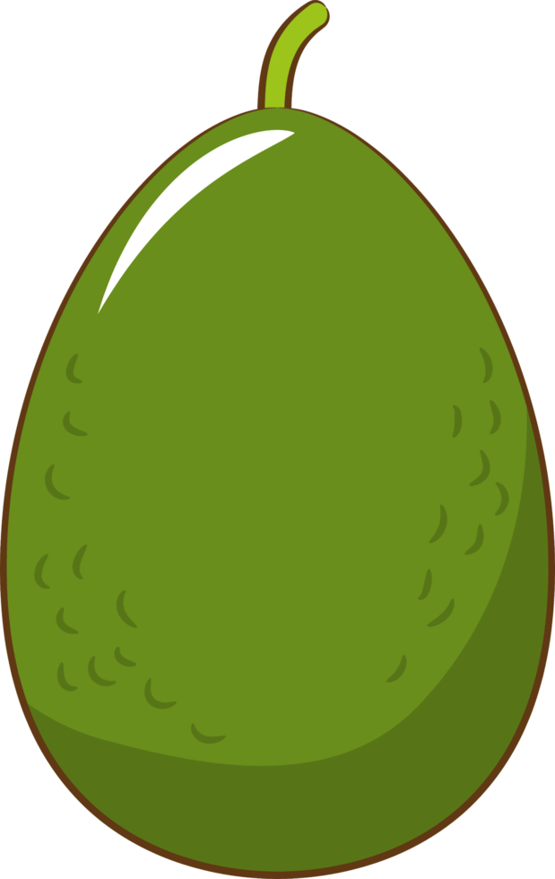 aguacate png gráfico clipart diseño