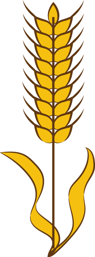 Wheat png graphic clipart design