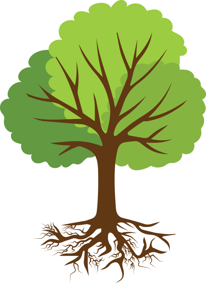 Tree png graphic clipart design 19613629 PNG