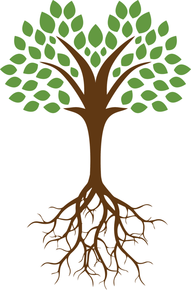 Tree png graphic clipart design