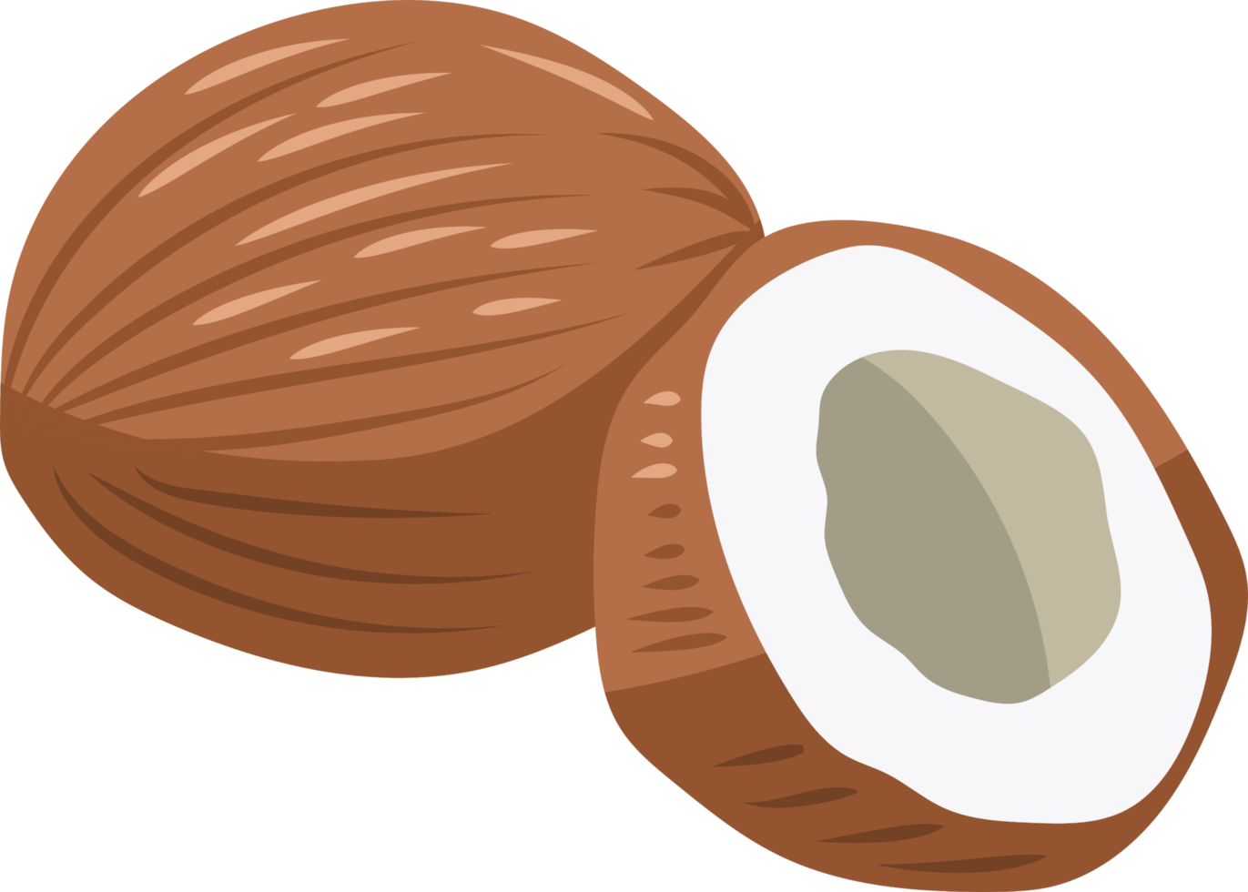 Coconut png graphic clipart design