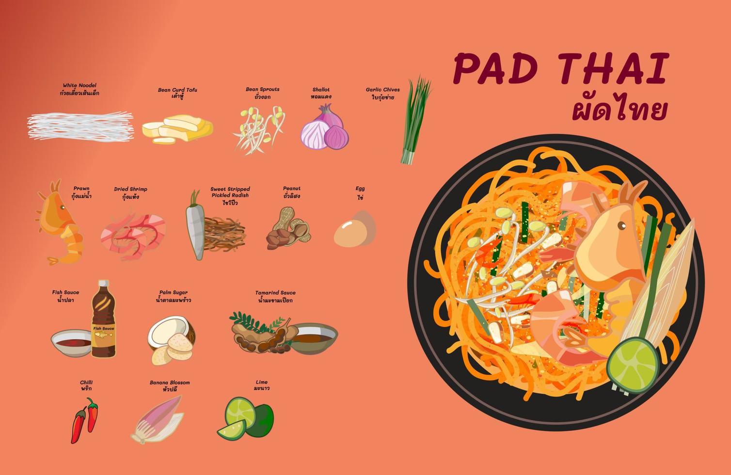 Thai food Pad Thai kung with ingredients Thai cook recipe from real chef vector