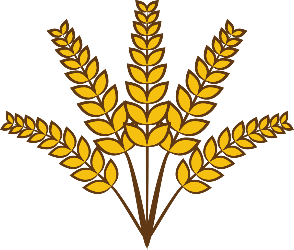 Wheat png graphic clipart design