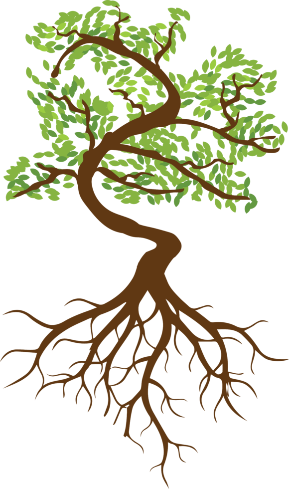 Tree png graphic clipart design