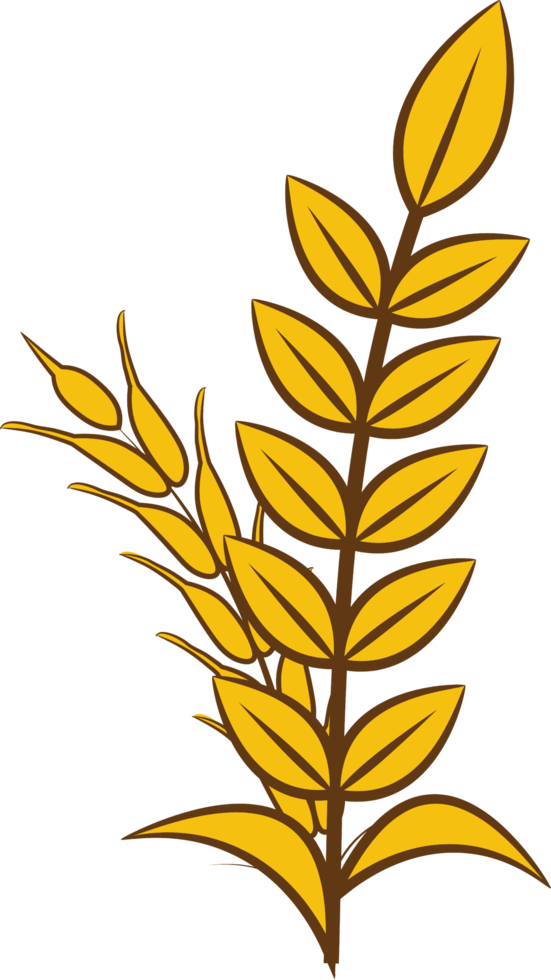 Wheat png graphic clipart design
