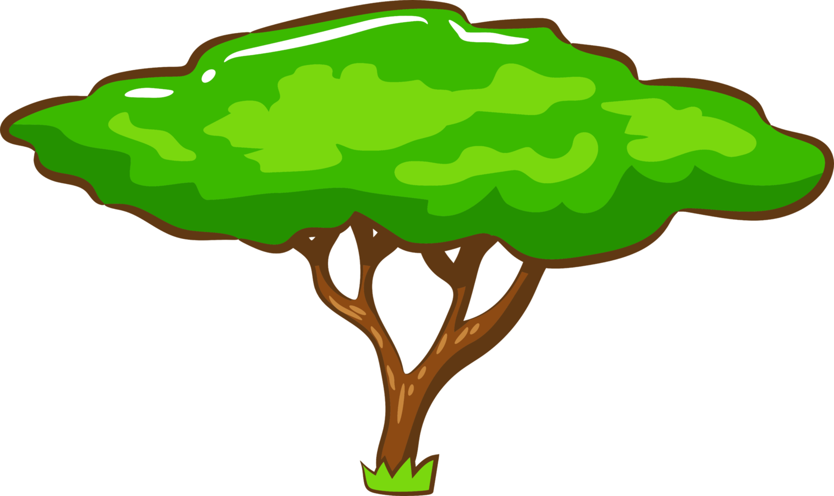 Tree png graphic clipart design