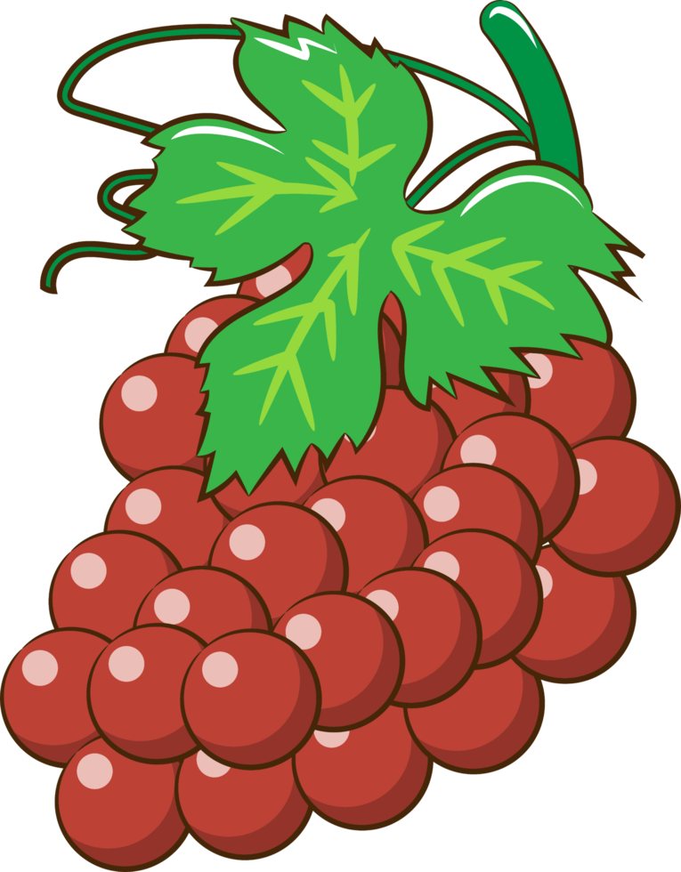 raisin png graphique clipart conception