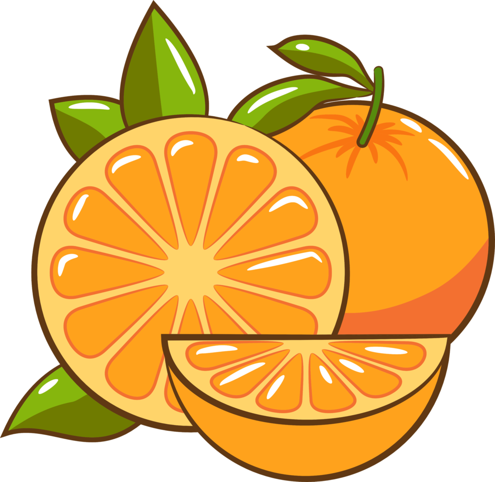 Orange png graphic clipart design