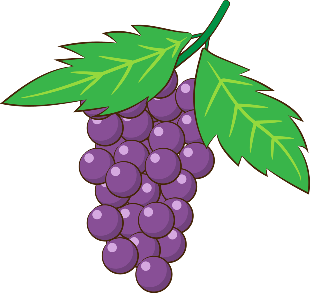 Grape png graphic clipart design 19614439 PNG