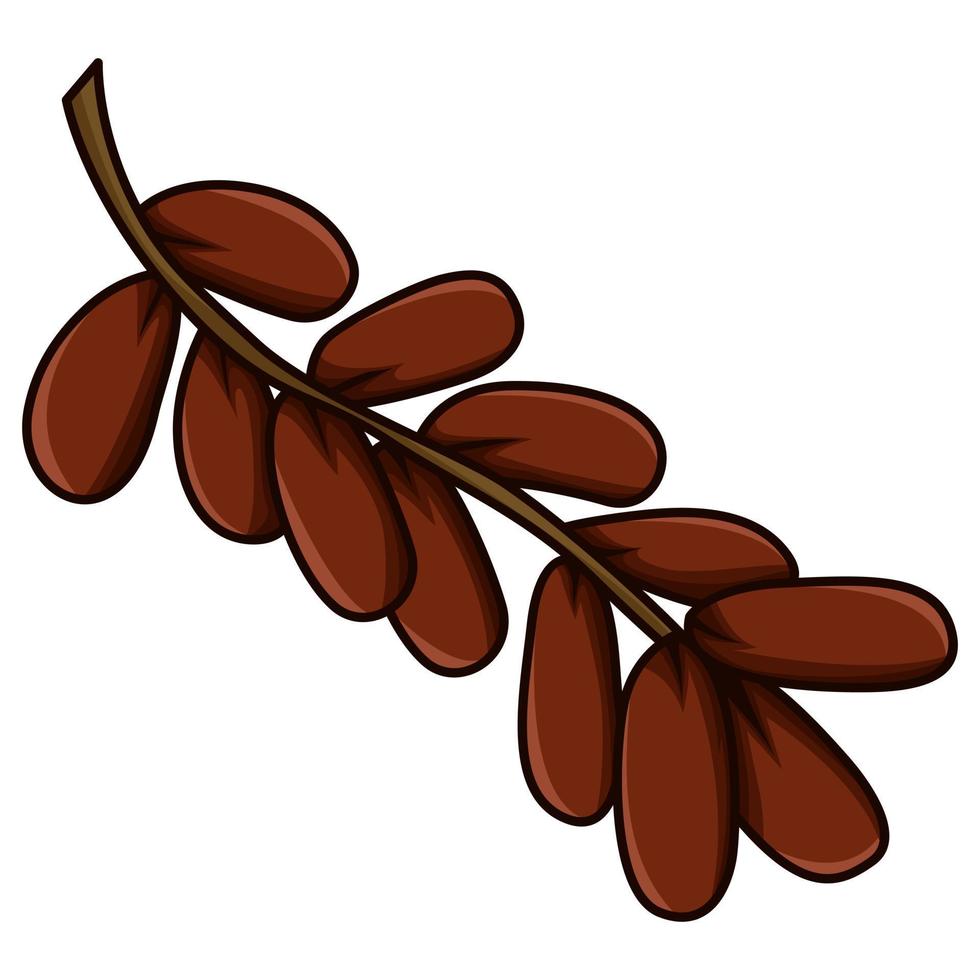 Illustration of dates from Arabic, which are usually eaten in the month of Ramadan vector